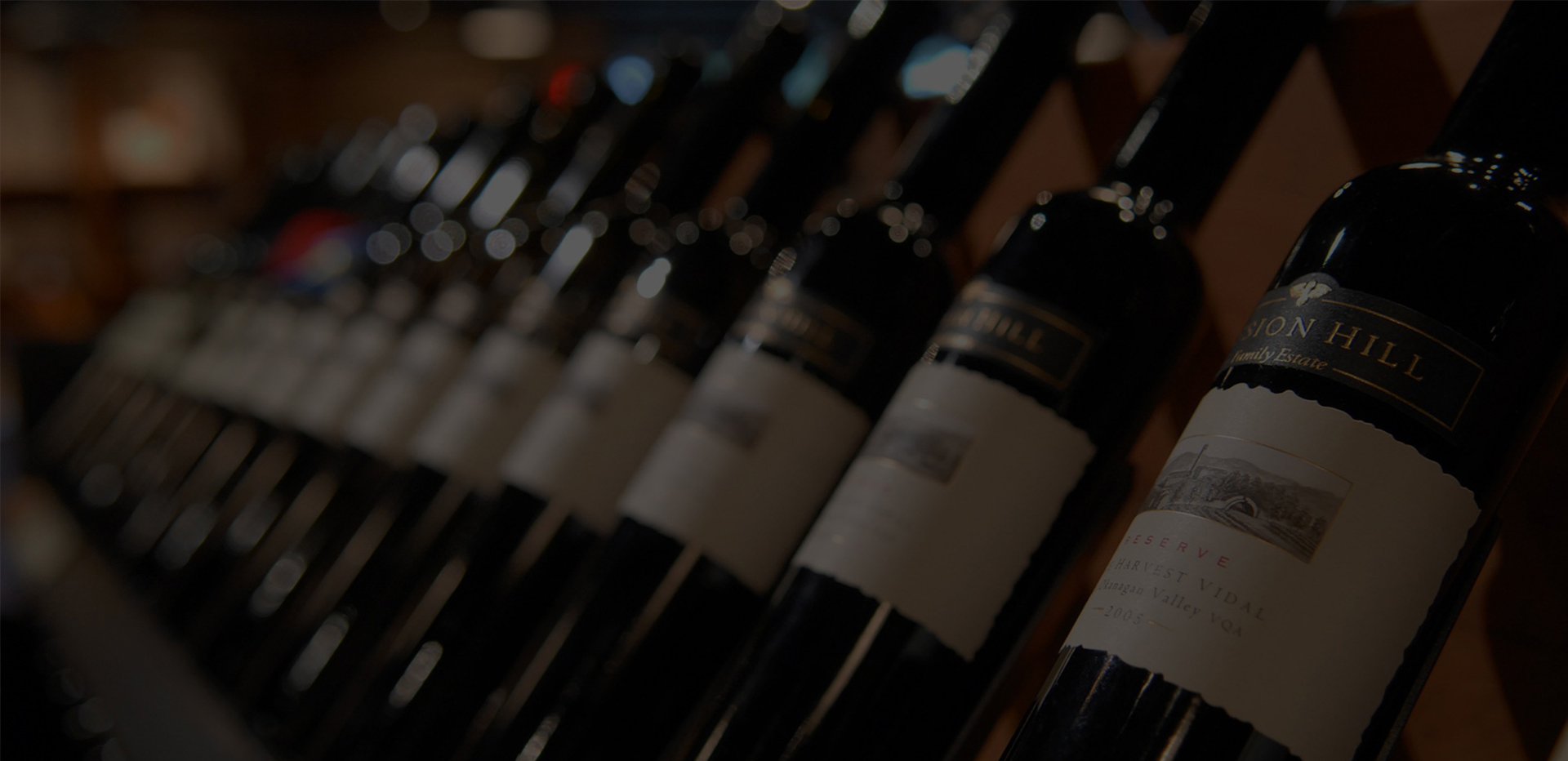 lorem ipsum dolor sit